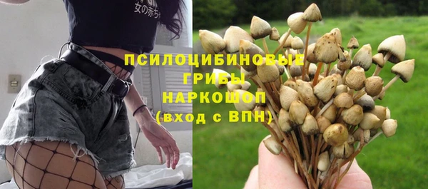 синтетический гашиш Каменногорск
