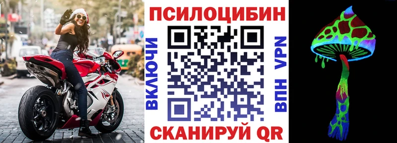 Купить  Кудрово  Псилоцибиновые грибы Psilocybe 